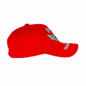 TOP GUN® "THE FLYING LEGEND" CAP gallery image 17